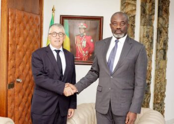 Gabon : le PDG de Colas devise avec le Ministre des Mines