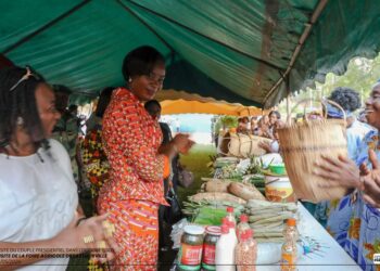 Gabon : Zita Oligui Nguema en immersion à la foire agricole de Lastourville