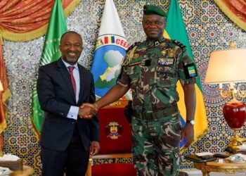 Préservation de la paix et cohésion nationale : rencontre cruciale entre le Président gabonais Brice Clotaire Oligui Nguema et l’Institut Américain pour la Paix