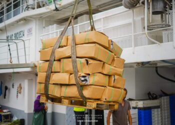 Lutte contre la vie chère au Gabon : le Président Oligui Nguema intensifie ses efforts avec l&rsquo;arrivée de 120 tonnes de poisson frais