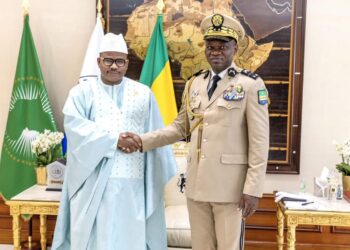 Renforcement des relations bilatérales : le Gabon et la Guinée unissent leurs forces pour une nouvelle ère de coopération