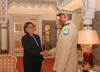 Retour de France : Paulette Missambo fait le point au Chef de l&rsquo;État