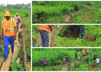 Franceville : l’ONG Tous Ensemble pour l’Égalité des Chances en action pour des passerelles vitales