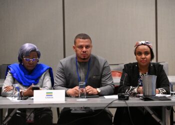 La Commission Politique de l’APF se penche sur la situation politique au Gabon