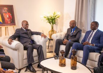 Renforcement des Partenariats : le Gabon et Shelter Afrique unissent leurs forces pour le développement immobilier