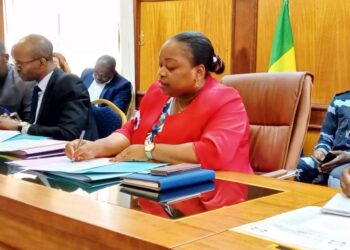 Rentrée scolaire 2024-2025 au Gabon : la ministre de l’éducation nationale prépare un retour des classes sans accroc