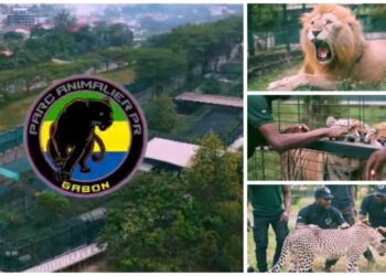 Gabon : le parc animalier de la Résidence OYO ouvre ses portes au public sous l&rsquo;impulsion d&rsquo;Oligui Nguema