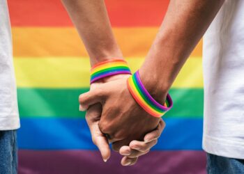 Gabon : la nouvelle constitution bannit la dépénalisation de l’homosexualité imposée par le régime Bongo-Valentin