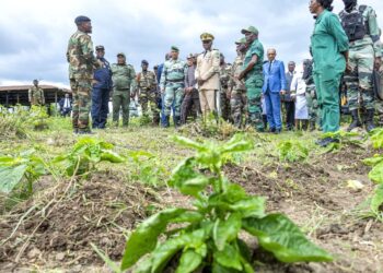 Gabon : Oligui Nguema en visite sur le site du Génie Agricole