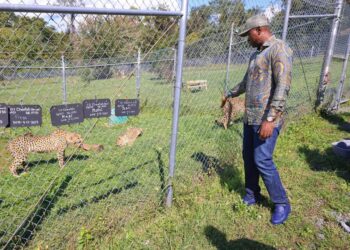 Renforcement du Partenariat Gabon-USA : Oligui Nguema s&rsquo;inspire du modèle américain pour la conservation