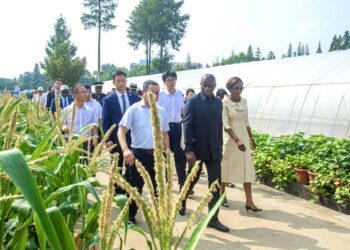 Le Gabon explore le modèle chinois pour dynamiser son agriculture