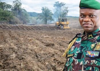 Gabon : le CTRI investit 12 milliards dans l’agriculture
