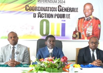 Au Gabon, Karim Nziengui tacle Alain-Claude Bilie-By-Nze et défend vigoureusement la Nouvelle Constitution