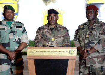 Gabon : le CTRI tire la sonnette d&rsquo;alarme contre l&rsquo;instrumentalisation politique de l&rsquo;image du Chef de l&rsquo;État et le campagne pour le oui au référendum