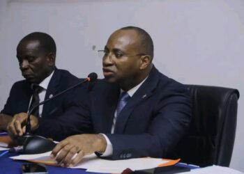 Réunion des ressortissants de Bayi-Brikolo : Mobilisation autour de la nouvelle constitution en ligne de mire