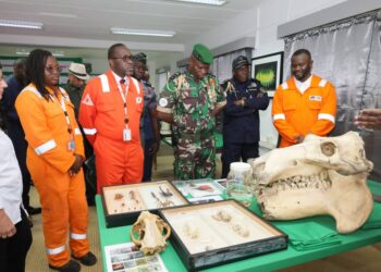 Protection de la biodiversité : Oligui Nguema engage le Gabon pour un environnement durable