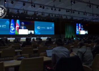 Cop 29 : le Gabon lance un appel pour une justice climatique