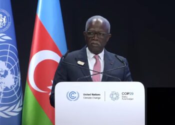 COP 29 : «Nous ne pouvons avoir droit à l’échec» dixit Joseph Owondault Berre
