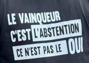 Référendum au Gabon : les partisans du « NON » et l&rsquo;art de la mauvaise foi face à la victoire du « OUI » qui se dessine