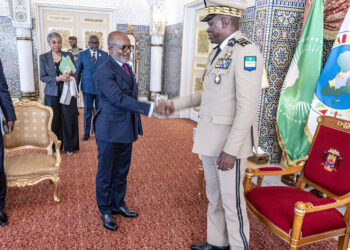 Les préparatifs du Sommet extraordinaire des Chefs d&rsquo;État et de Gouvernement de la CEMAC au coeur de l&rsquo;échange entre le Président Oligui Nguema et le Secrétaire Général de la COBAC 