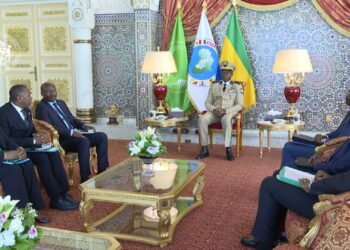 La sous-région CEMAC face à des défis économiques majeurs : Rodrigue Bissielou Bidigoungou Chez Brice Clotaire Oligui Nguema