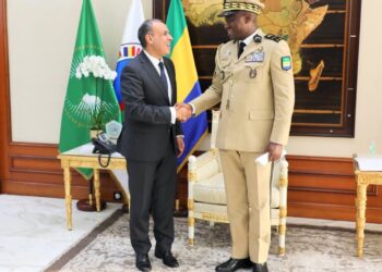 Gabon : le Président Oligui Nguema reçoit le Ministre des Affaires Étrangères d’Égypte