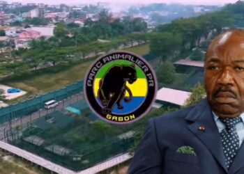 Ali Bongo, désormais simple citoyen, devra donc, comme tout Gabonais lambda, s’acquitter du prix d’entrée au zoo s’il souhaite admirer ses anciens compagnons à plumes