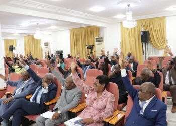 Révision du Code Électoral au Gabon : le Sénat examine et adopte le texte en séance plénière