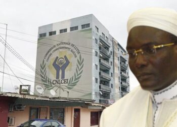 Figure emblématique du régime déchu au Gabon, Ali Akbar Onanga dans le viseur de la Commission nationale de lutte contre l’enrichissement illicite 