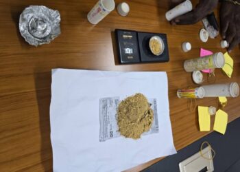 Coup de filet contre l’orpaillage illégal au Gabon, un butin de plusieurs dizaines de millions saisi par la DGSS 