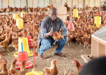 AGROPAG Ntoum : Oligui Nguema renforce son engagement pour l’autosuffisance alimentaire