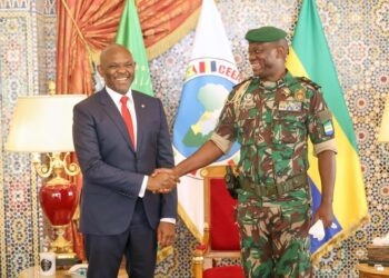 Coopération économique : Tony Elumelu exprime son soutien au Gabon