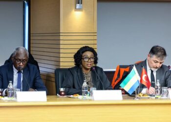 Enseignement supérieur : le Gabon et la Turquie renforcent leur coopération académique