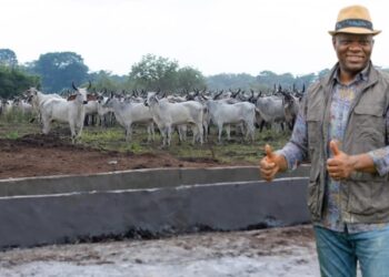 Au Gabon, le Président Oligui Nguema en visite au ranch de Ndéndé pour soutenir l’élevage local