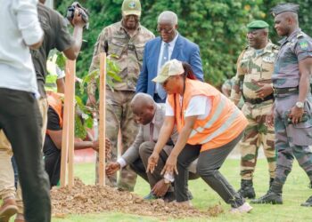 Au Gabon, Brice Clotaire Oligui Nguema initie une vaste campagne de reboisement le long de la voie de contournement de l&rsquo;aéroport de Libreville 