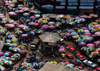 Opération anti-drogue à Mont-Bouet : 20 dealers interpellés par la DGSS