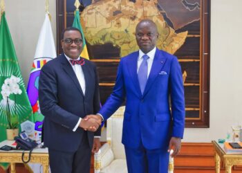 Renforcement des relations bilatérales : Oligui Nguema rencontre le président de la BAD, Akinwumi Adesina