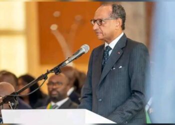 Affaire Mbanié : au Palais présidentiel, la souveraineté gabonaise défendue avec éclat par le professeur Rossatanga-Rignault