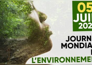 Journée mondiale de l’environnement : la Fondation Ma Bannière mobilisée pour un Gabon plus vert et durable