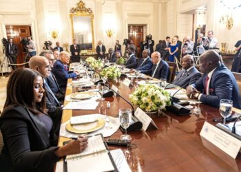 À la Maison Blanche, le Président Gabonais Oligui Nguema plaide pour une Afrique souveraine, en paix et maîtresse de ses ressources naturelles