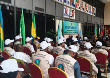 La CEEAC salue le déroulement globalement satisfaisant des élections législatives et locales au Gabon