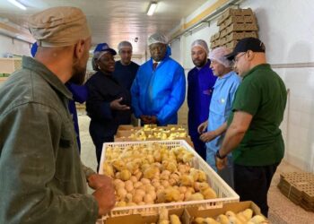 Souveraineté alimentaire : le Gabon s’inspire du modèle marocain pour bâtir une filière avicole durable