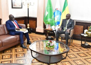 Le nouvel Ambassadeur du Gabon auprès du Benelux reçu par Oligui Nguema