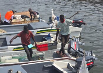 Deuxième débarquement Gab Pêche : le CAPAL consacre la fierté halieutique nationale