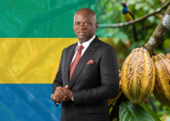 Cacao : Oligui Nguema mise sur la filière pour diversifier l’économie gabonaise