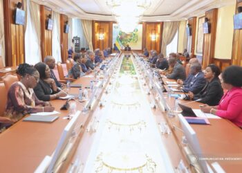 Conseil des Ministres : le Gabon réserve désormais la direction des banques et institutions de microfinance aux nationaux
