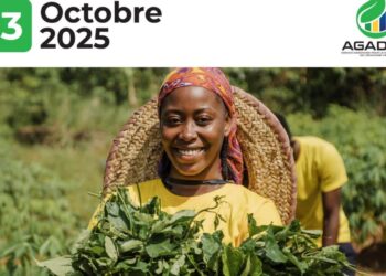 Le Gabon inaugure le Comptoir National des PFABO : un nouveau souffle pour l’économie verte et les femmes rurales