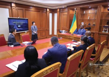 La Présidente Directrice Générale zone CEMAC du géant mondial Huawei reçu en audience par Brice Clotaire Oligui Nguema