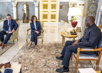 La mise en œuvre du programme de rénovation du Transgabonais au centre des échanges entre le Président Oligui Nguema et l’Ambassadeur de l’Union européenne près la République Gabonaise 