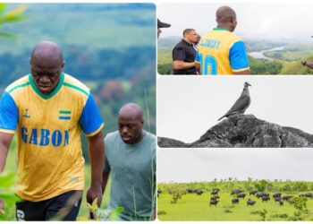 « La vie humaine avant tout » : Oligui Nguema redéfinit l’équilibre entre protection de la nature et justice sociale